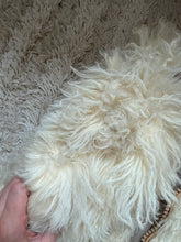 Load image into Gallery viewer, Vintage shearling hooded coat
