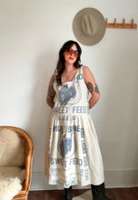 Load image into Gallery viewer, Vintage mule shoe sweet feed dress