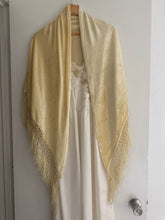Load image into Gallery viewer, Vintage velvet shawl
