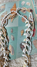 Load image into Gallery viewer, Vintage shell necklaces (2)
