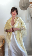 Load image into Gallery viewer, Vintage velvet shawl
